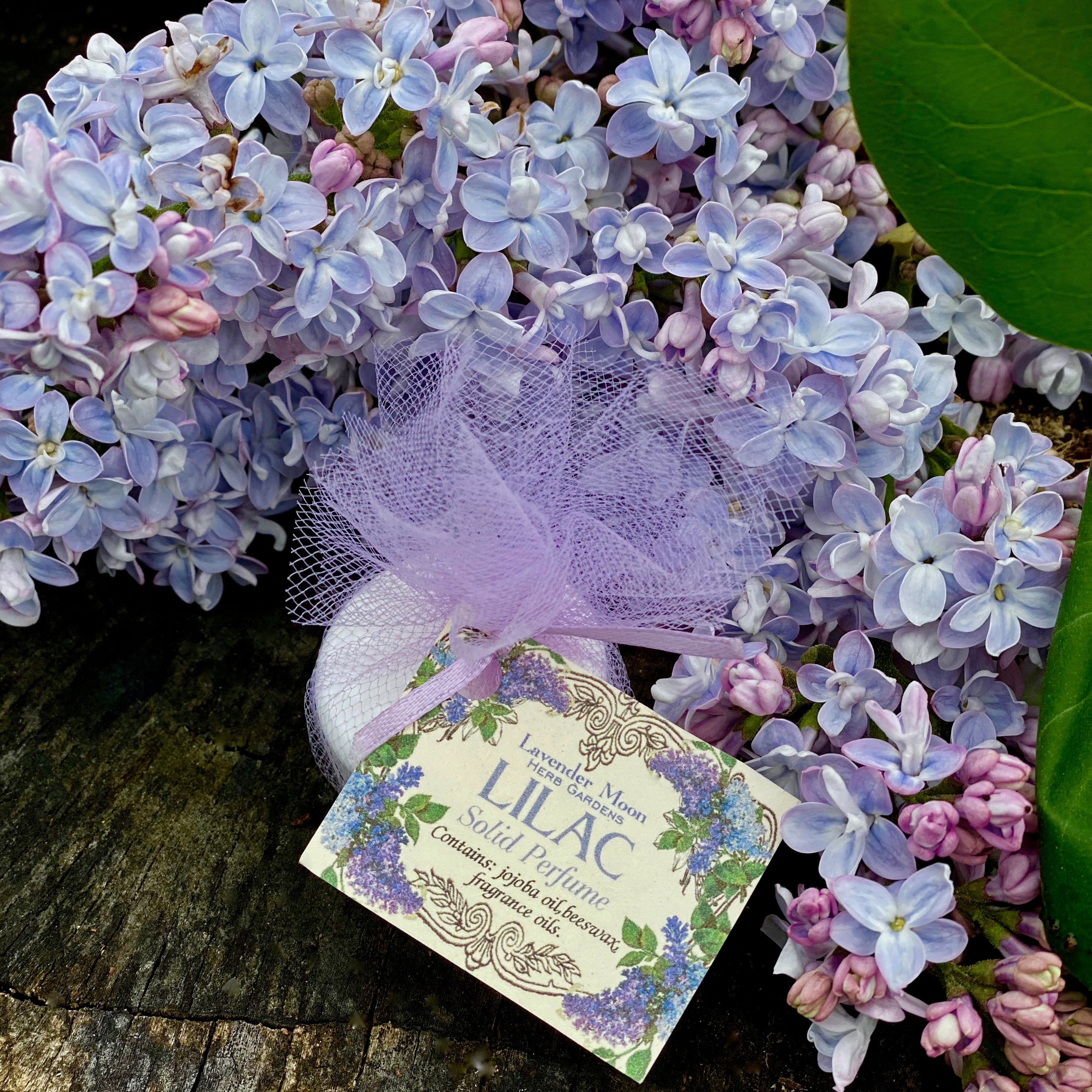 https://www.lavendermoonherbs.com/cdn/shop/products/IMG_4118.jpg?v=1590253243